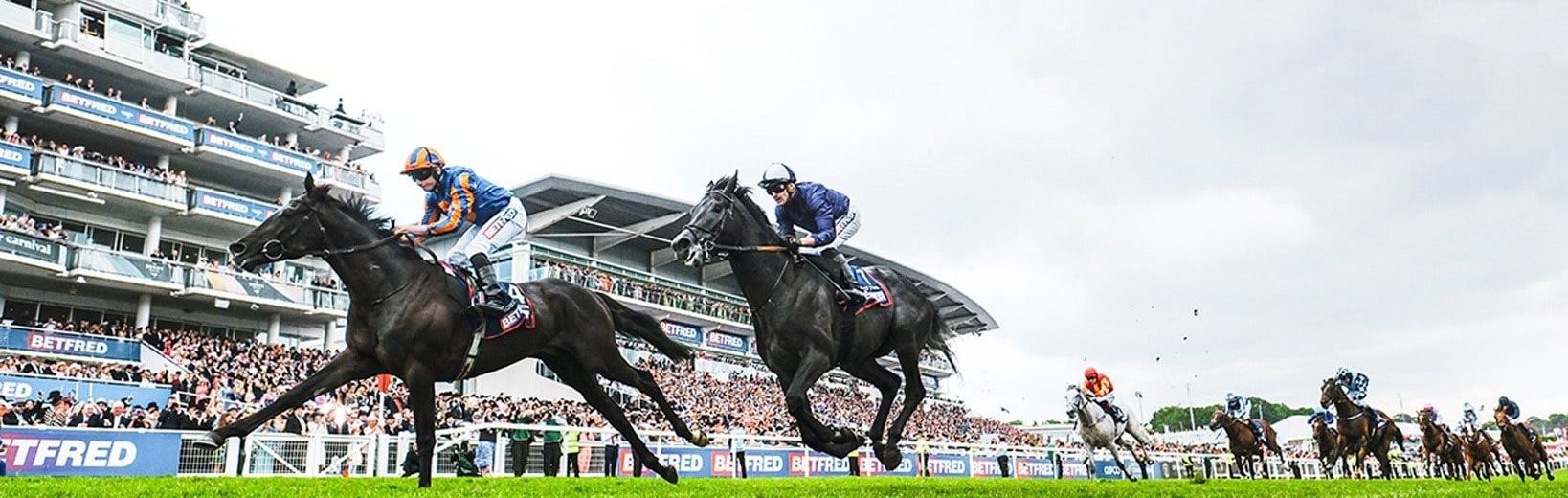 betfred-horse-racing-results-case-study