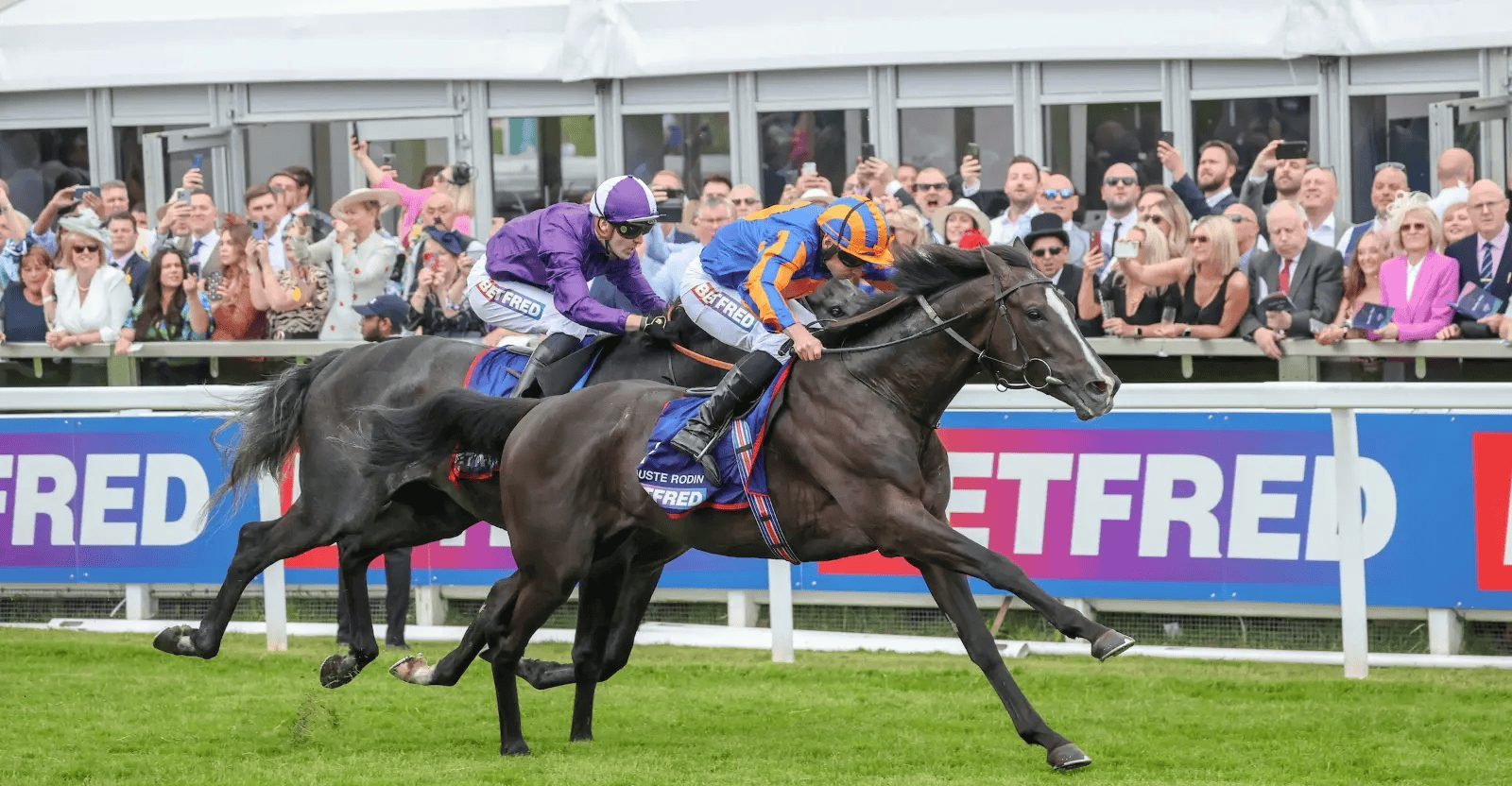 Racing horses in action, featured on a case study on Wonder Agency's custom wordpress plugin for Betfred