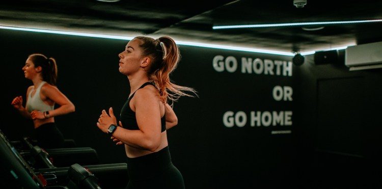 north-studio-wordpress-replatform-case-study