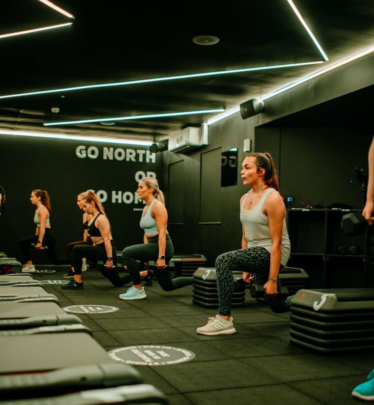 north-studio-wordpress-website-build-case-study