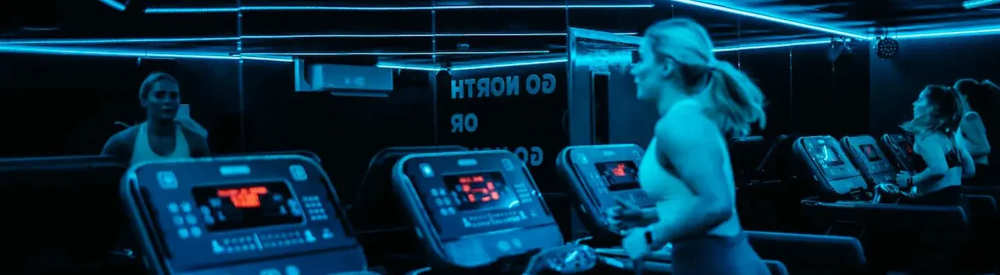 north-studio-wordpress-website-case-study