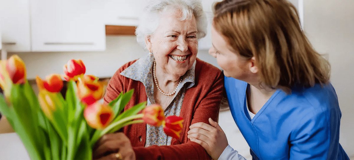 promedica24-case-study-wordpress-rebuild