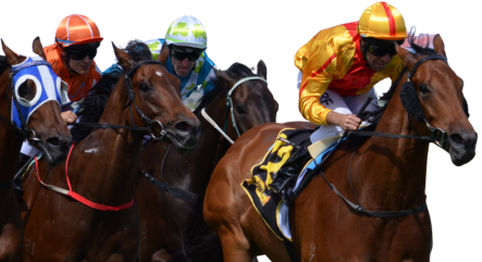 wonder-agency-betfred-horse-racing