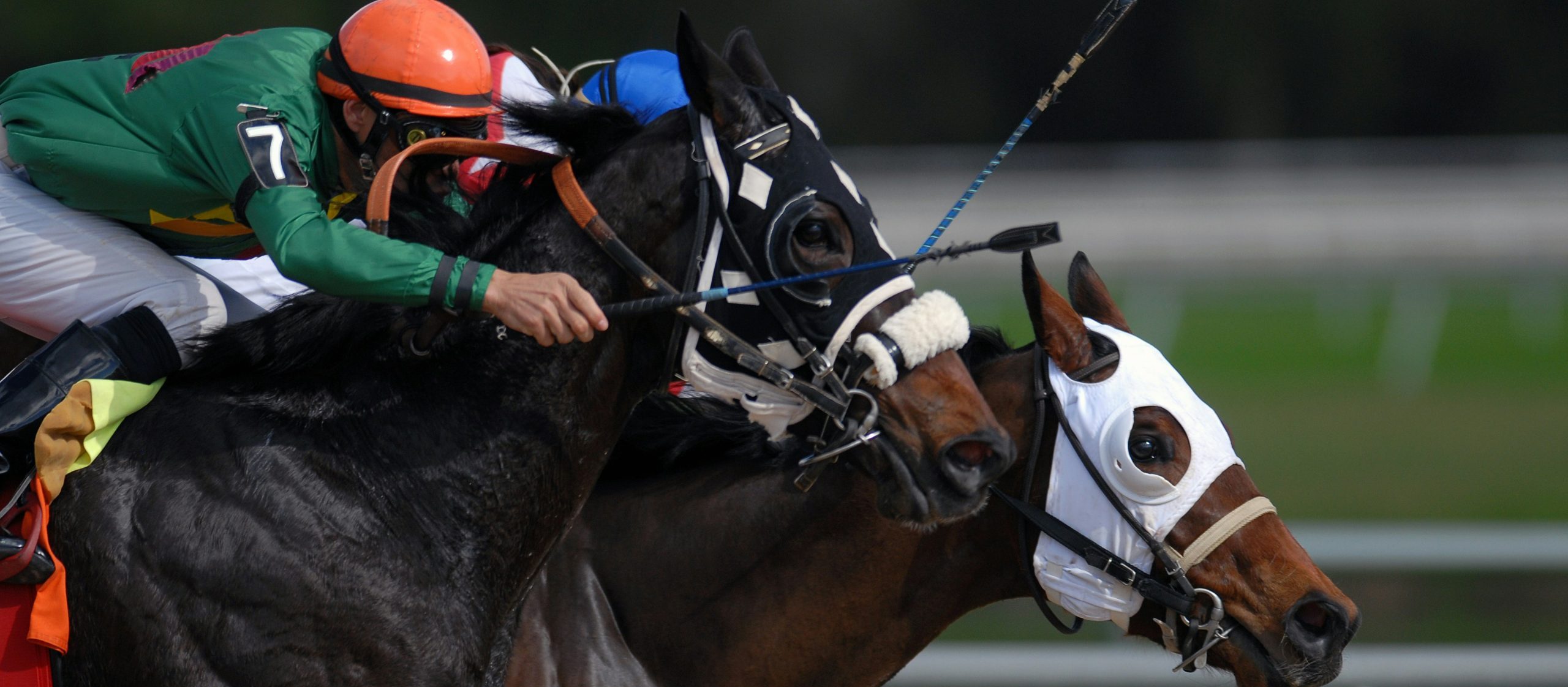 Jockey riding race horses featured on a case study on Wonder Agency's custom WordPress plugin development for Betfred case study