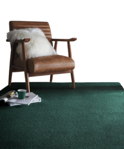 website carousel – single overlap (5)